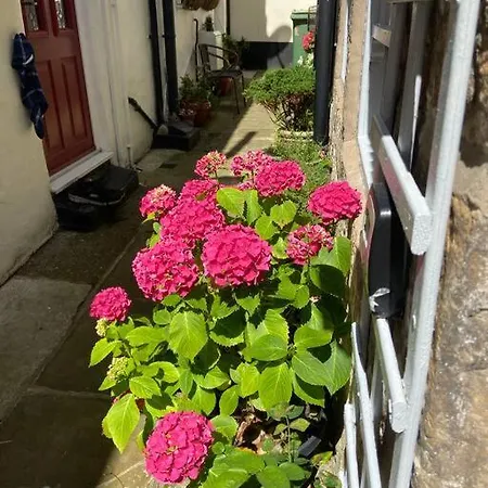 Cosy 400yr Old Cottage, Flowergate, Whitby, Sleeps 6 *