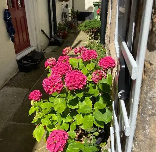 Cosy 400yr Old Cottage, Flowergate, Whitby, Sleeps 6 *